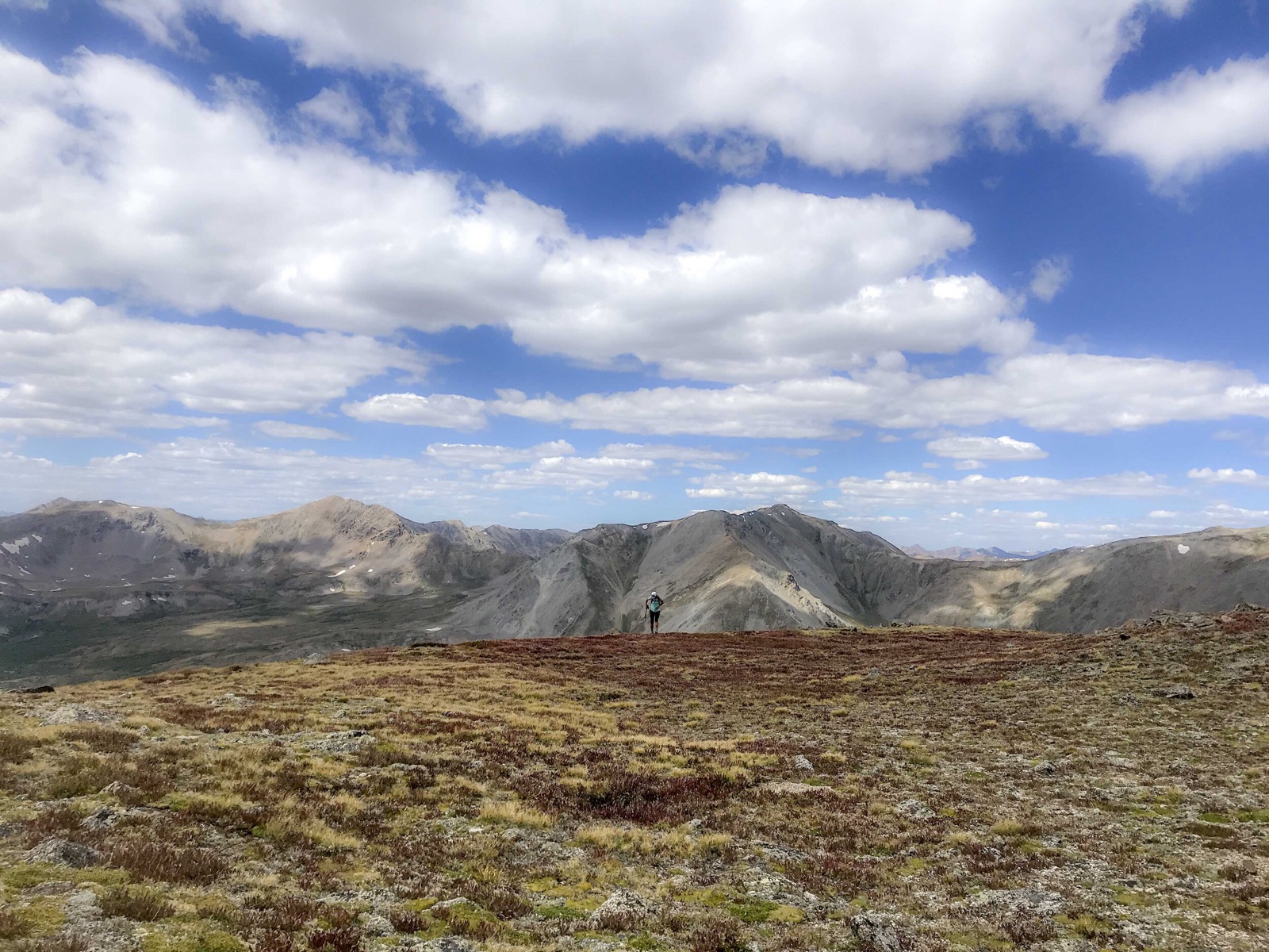 Tara at 13,000ft on Mt Harvard