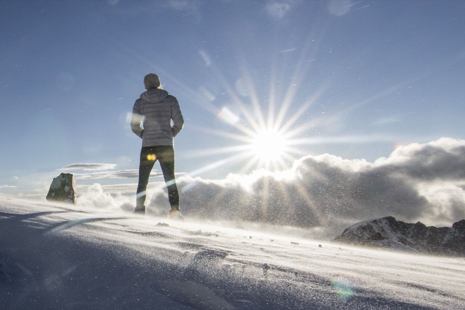Into the Cold