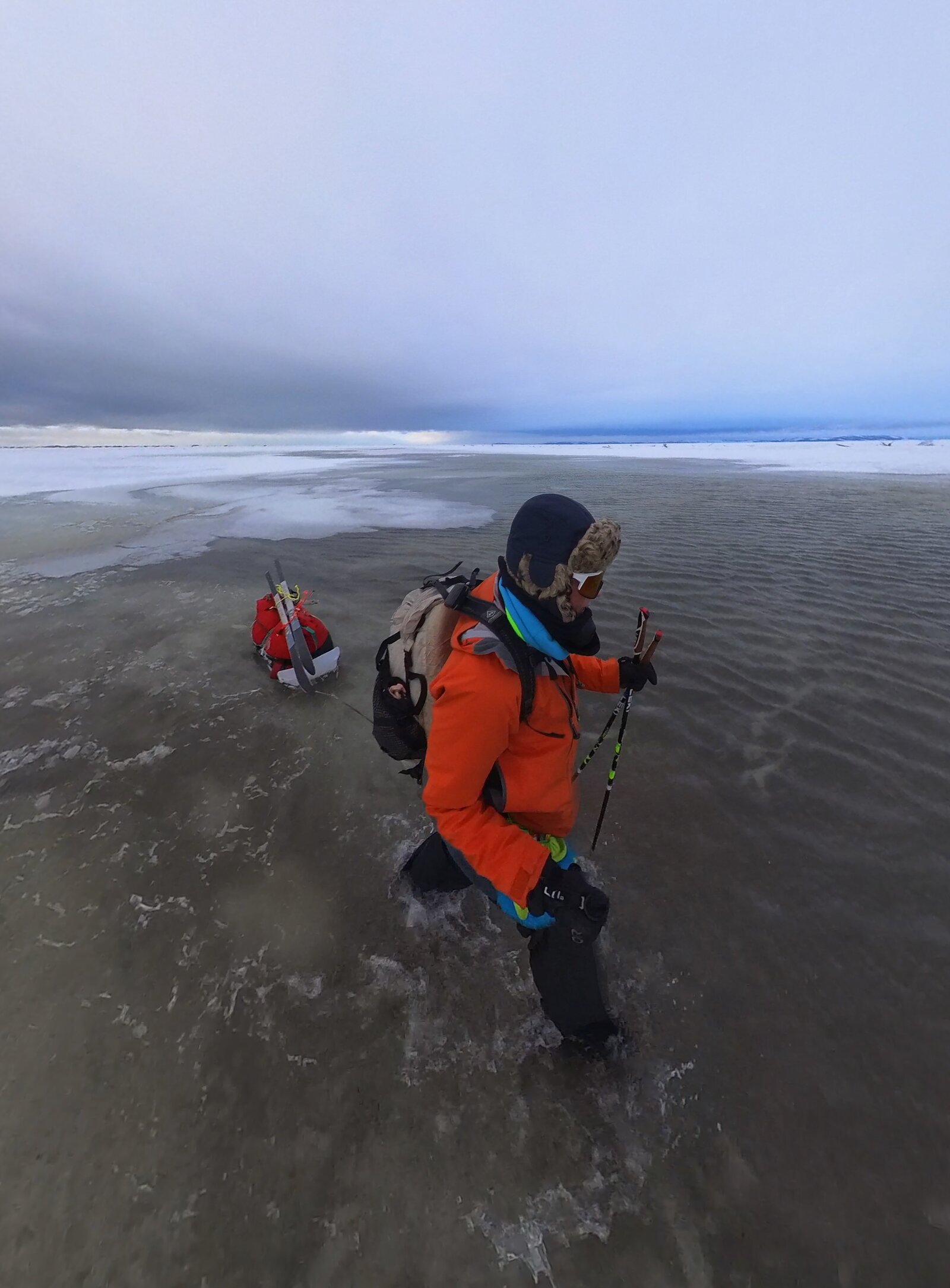 Sunny crossing the frozen Norton Sound on the Iditarod Trail, vast grey ice field stretching to the horizon