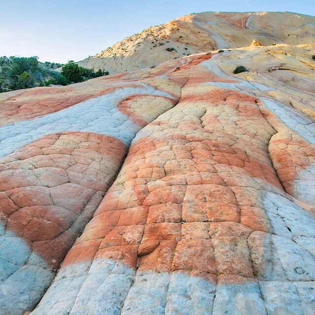 Nature is a master artist.
🔝
If you can manage a steep 1000ft ascent, we&amp;rsquo;ll take you here.
🔥
Also... looking for an extra special last minute gift for mom that&amp;rsquo;ll help get her back in the fresh air as COVID restrictions ease? How about 
