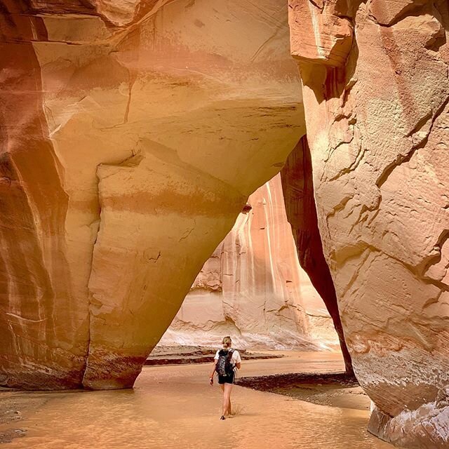 Desert dreams... who&amp;rsquo;s been?
☝🏼
PSA: Bryce and Zion are both in the process of reopening. The Grand Canyon hasn&amp;rsquo;t issued a timeline yet but last we heard roads were going to be closed until May 21 and river trips were suspended through m