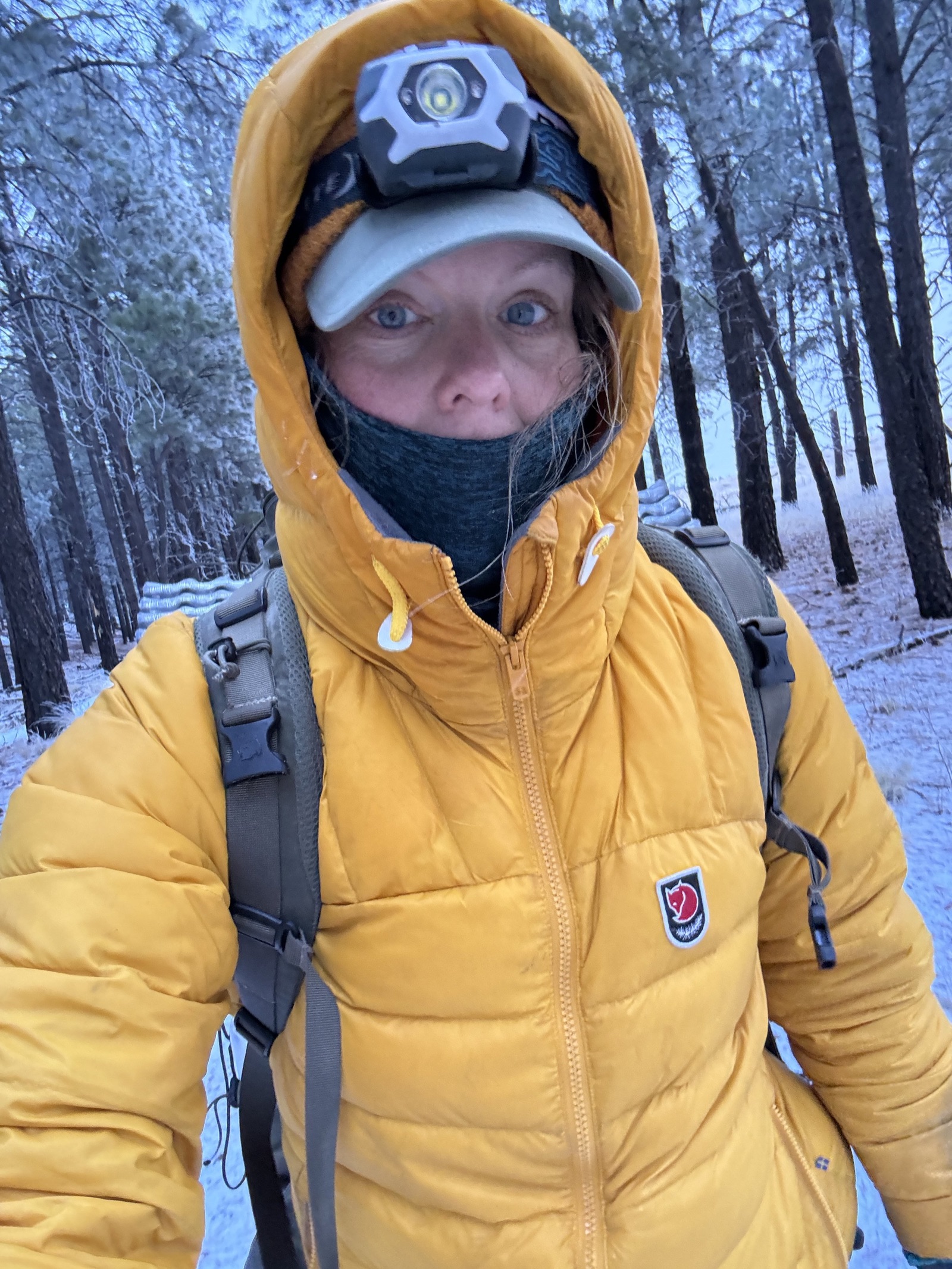 I pulled the plug: my Arizona Trail speed record attempt is over