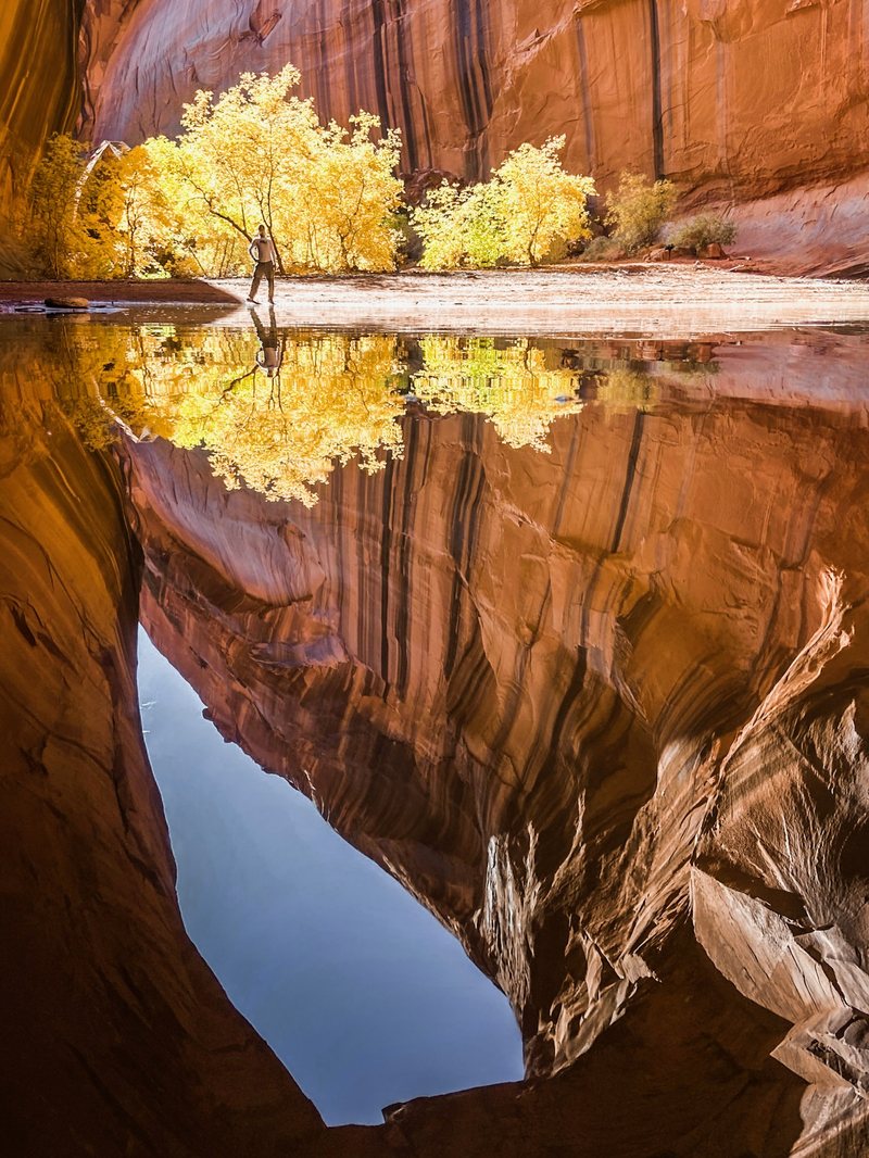 Golden cottonwoods and red canyon walls reflect in still water where a small figure walks the shore