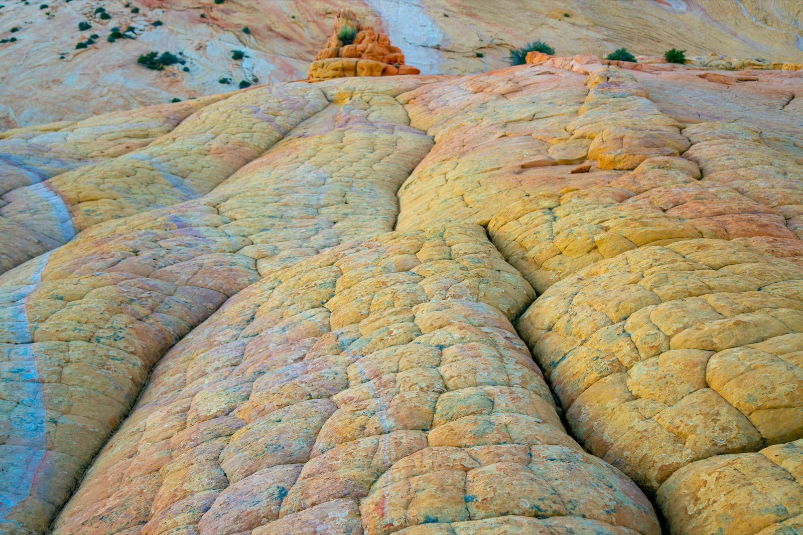 yellow rock-9960.jpg